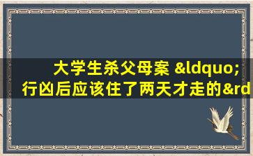 大学生杀父母案 “行凶后应该住了两天才走的”